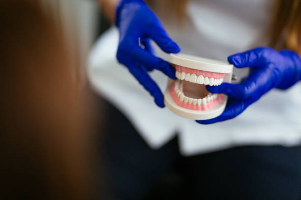 Best General Dentistry  in Beach Haven, NJ